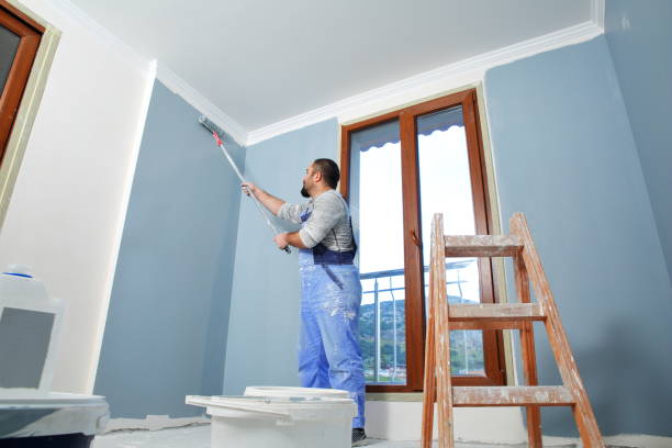 Best Mold Damage Restoration  in Ucon, ID