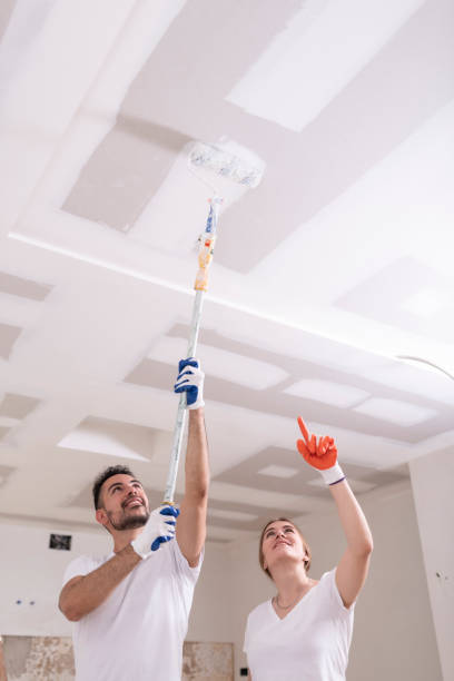 Best Asbestos and Lead Testing During Mold Inspection  in Ucon, ID