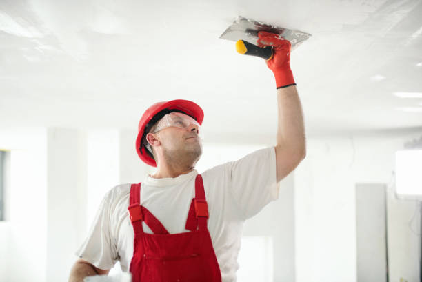 Ucon, ID Mold Removal Company